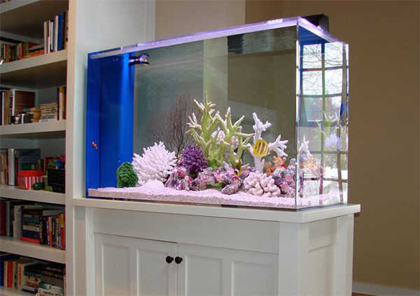 aquarium-design-for-interior