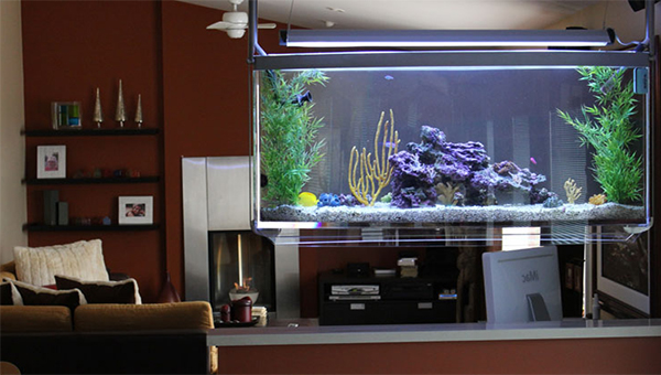 aquarium-living-room
